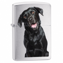 Zippo aansteker Black Lab Chroom Brushed