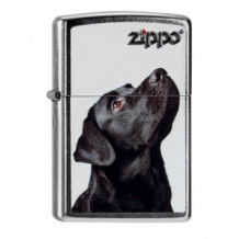 Zippo aansteker Black Labrador