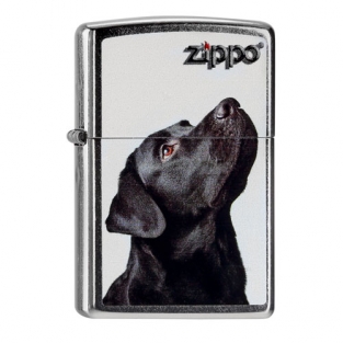 Zippo aansteker Black Labrador